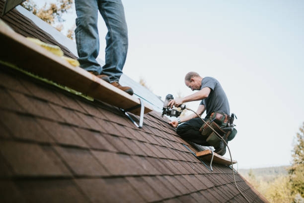 Quick and Trustworthy Emergency Roof Repair Services in Oak Brook, IL